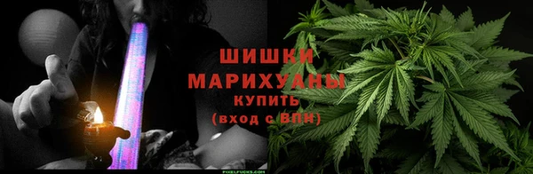 крисы Абдулино