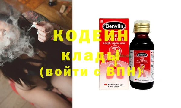 крисы Абаза