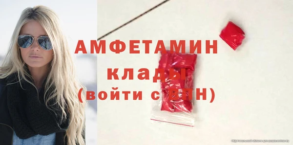 крисы Абаза